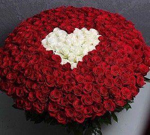 Whispers of Nature's Elegance Bouquet