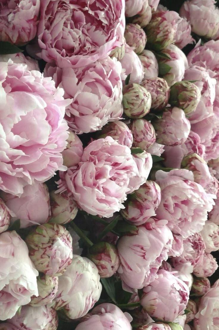 Tranquil Oasis Floral Embrace Bouquet
